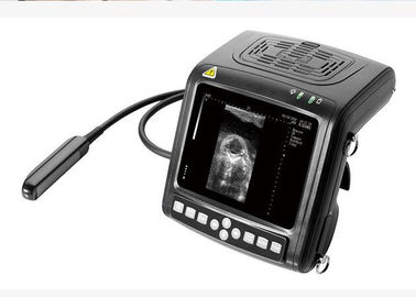 B/W のやし超音波の走査器の動物の超音波の走査器ロバを点検し、妊娠を確認するために使用します
