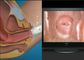 高い定義女性の自己診断の内視鏡AV （ビデオ）信号のデジタル電子Colposcope