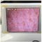 Ipadで表示する写真が付いている白いWifiの皮の湿気のレジ係の皮の湿気センサー