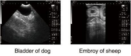 診断超音波装置の動物および100つのイメージの貯蔵のためのOBソフトウェアが付いている獣医の超音波の走査器