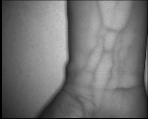 携帯武器の足のための3.5Inchスクリーンが付いている高リゾリューション800X480テーブルのタイプ静脈のロケータ装置