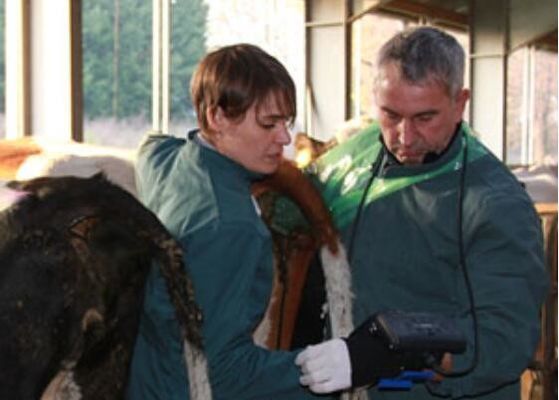 デジタル獣医用超音波スキャナー