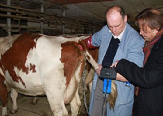 デジタル獣医用超音波スキャナー